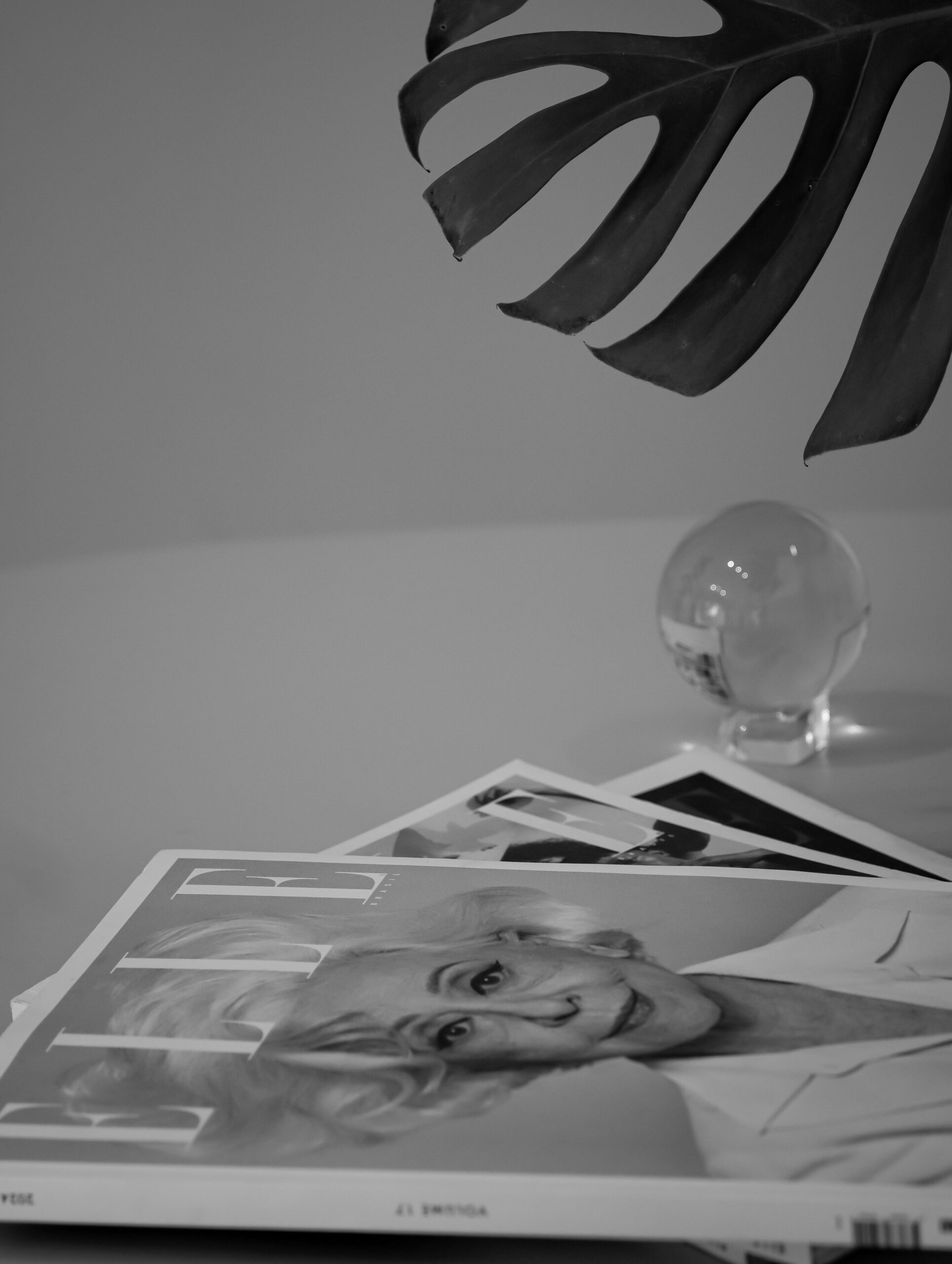 Stylish black and white magazines on table with leaf and globe decor.