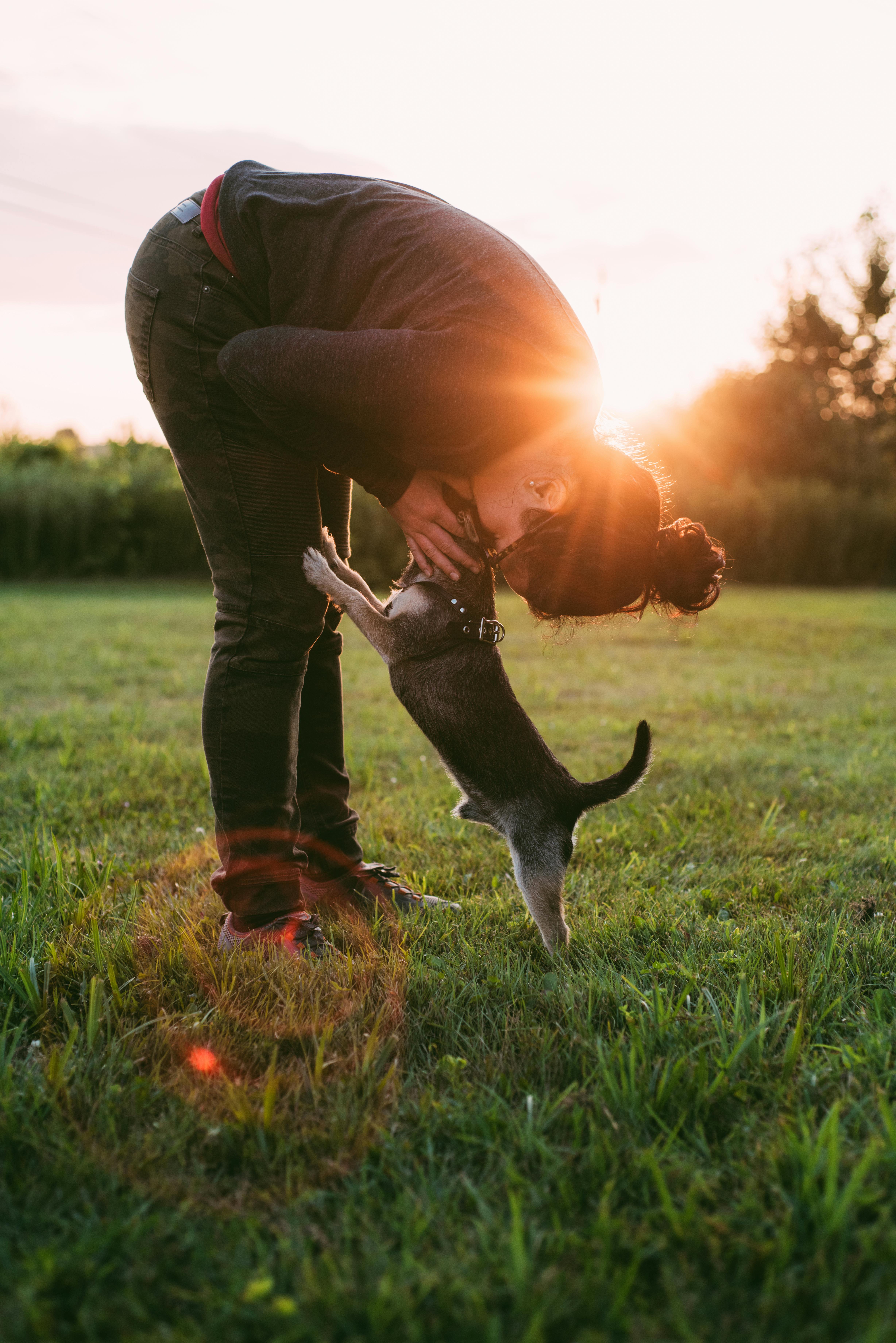 A woman bends down to kiss her playful puppy in a sunny outdoor field.