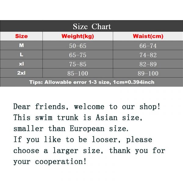 Trunks

New Men Quick Dry Low Waist Swimwear Trunks - Image 6